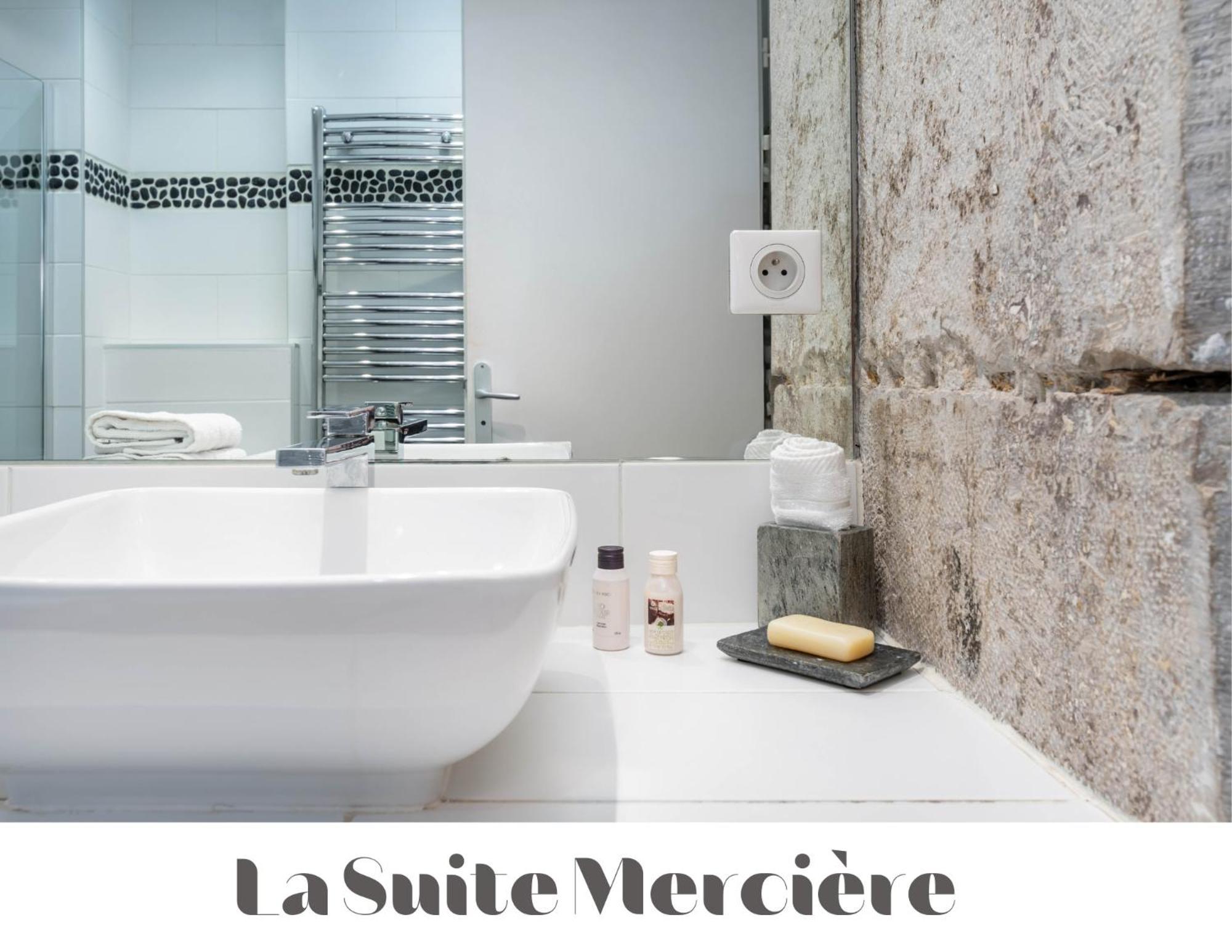 Le Carre Merciere , Appartements De Luxe Au Coeur De Lyon, Loft Et Studio Экстерьер фото
